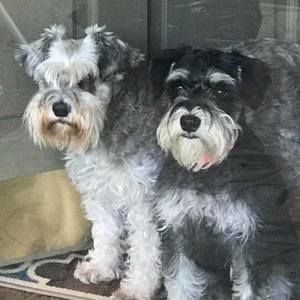 Meet your Posher, Judith